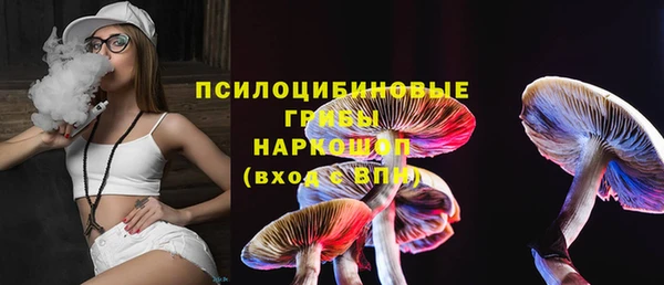 спайс Алексин