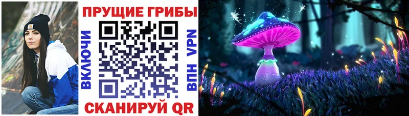 даркнет официальный сайт  Нижний Тагил  Галлюциногенные грибы прущие грибы 