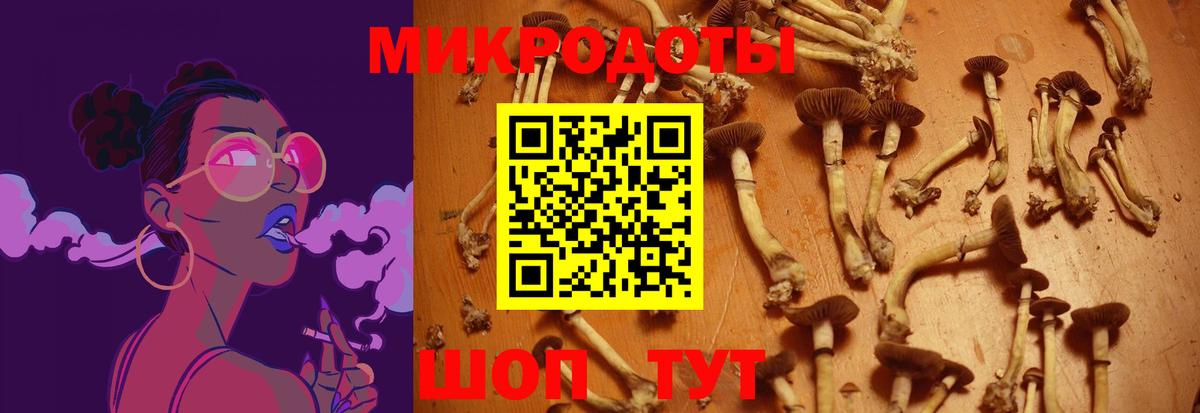 Псилоцибиновые грибы Magic Shrooms Нижний Тагил