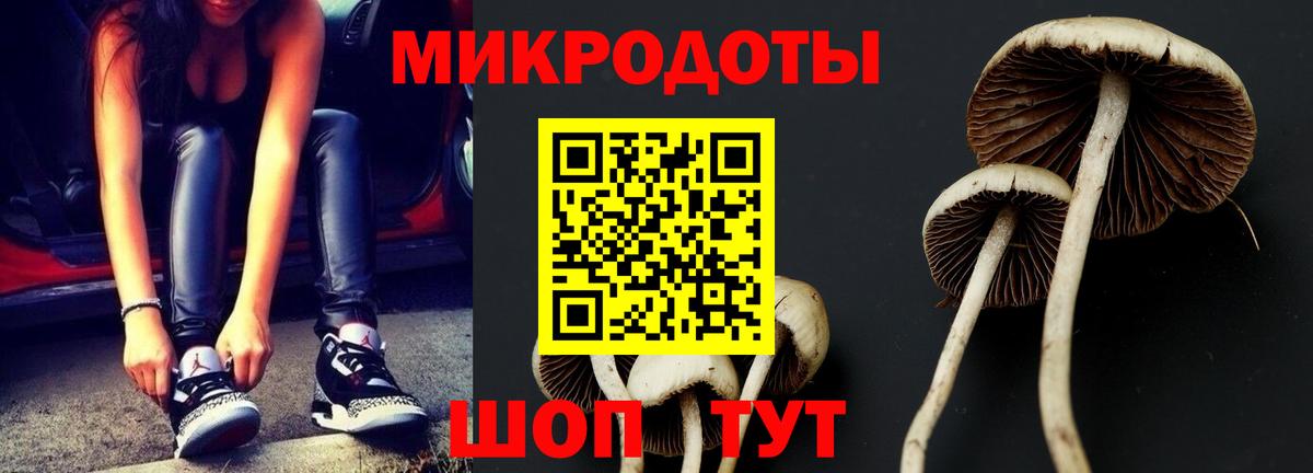 Псилоцибиновые грибы GOLDEN TEACHER  Вход с VPN  Нижний Тагил 