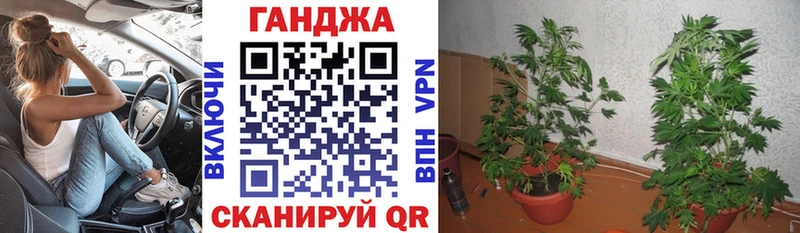 Бошки Шишки семена  как найти   Нижний Тагил 